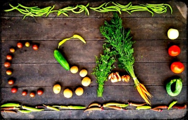 Are You Ready To Start A CSA?