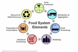 Food Systems Development - Where Does The Government Fit In?