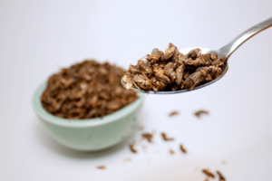 Are Insects the Next Moneymaker in Food?