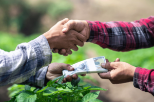 Is Equity Financing Right for Your Farm?