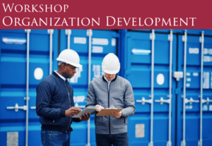 MVP Series Workshop: Developing a High-Performance Organization