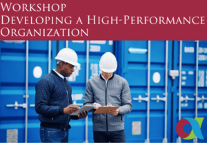 FFI MVP Series Workshop: Developing a High-Performance Organization (November 2024)