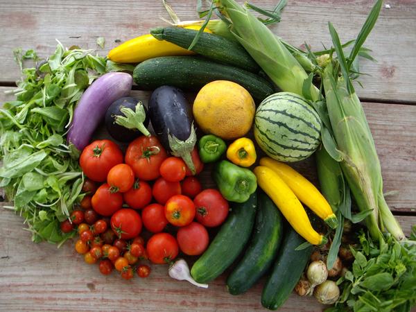 CSA Changing Business Model