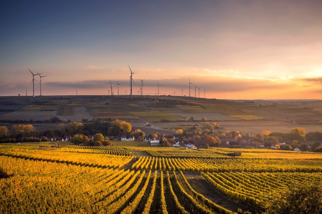 Farm Landscape