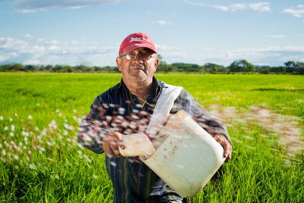 Farmers Building A Brand