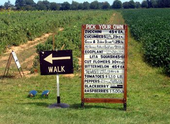 Pick Your Own