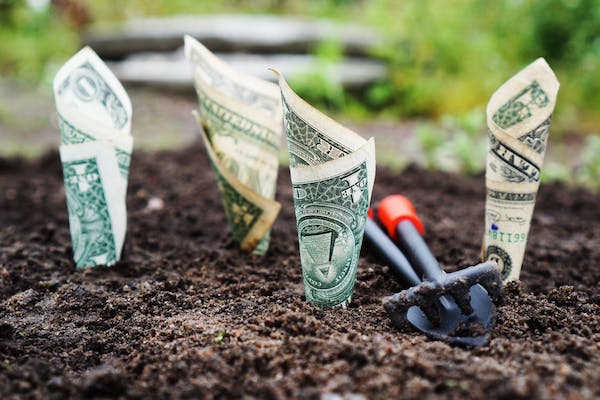 Raising Capital