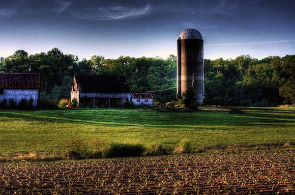 The Capital Conundrum of Rural Economic Development
