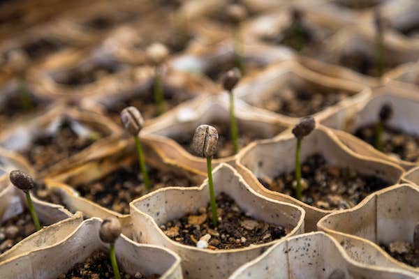 Your Food Business Has A Life Of Its Own